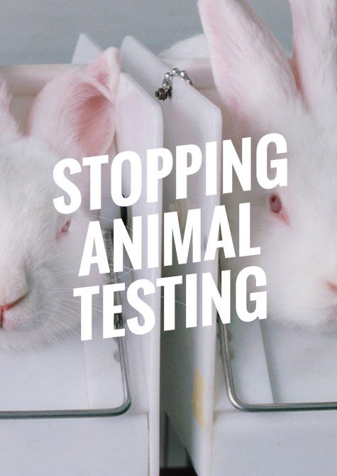 the humane society of the united states stopping animal testing 5