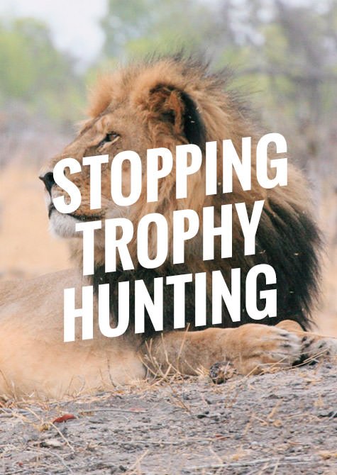 the humane society of the united states stopping trophy hunting 6